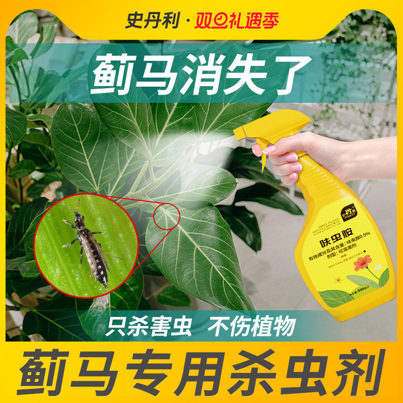 史丹利蓟马专用杀虫剂