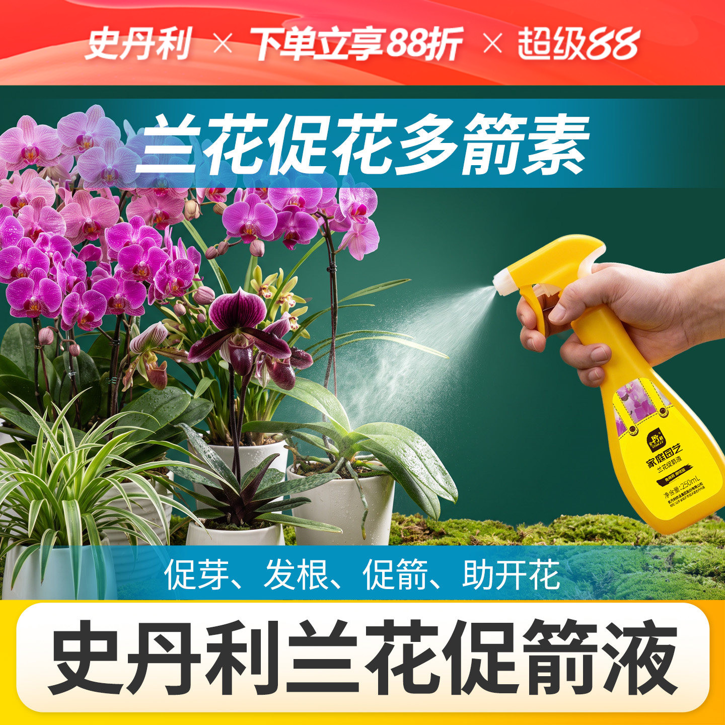 史丹利兰花多箭素免稀释营养液蝴蝶兰开花专用肥君子兰爆芽叶面肥