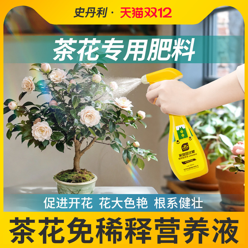 茶花专用肥料花开满盆