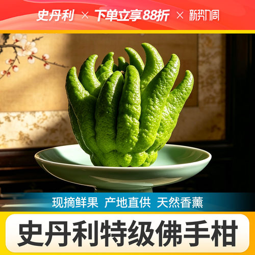 史丹利佛手柑鲜果盆栽摆件车载天然新鲜云南佛手柑鲜果特大佛手果