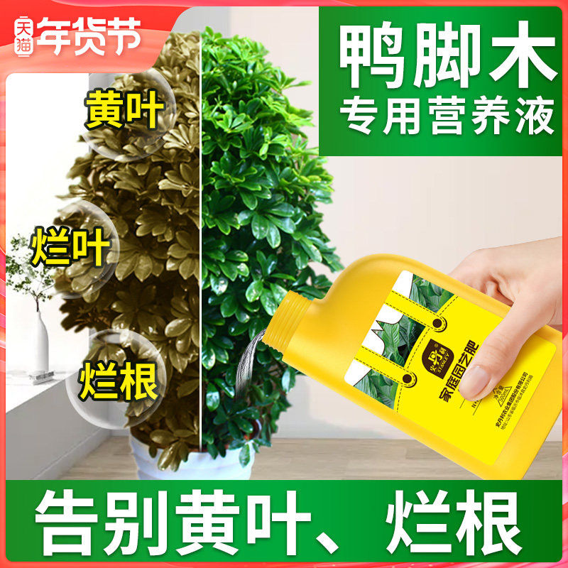 史丹利鸭脚木肥料专用肥营养液鸭掌木花肥鹅掌木盆栽家用液体肥料,鲜花速递/花卉仿真/绿植园艺,家庭园艺肥料,淘宝优惠券,粉丝福利购,淘宝优惠卷