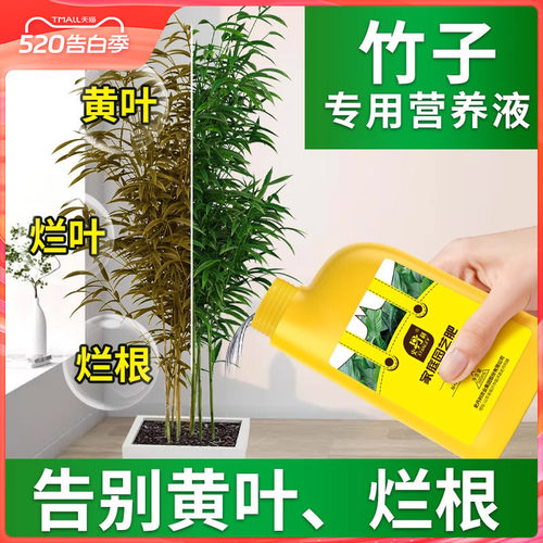 史丹利竹子专用肥料告别黄叶
