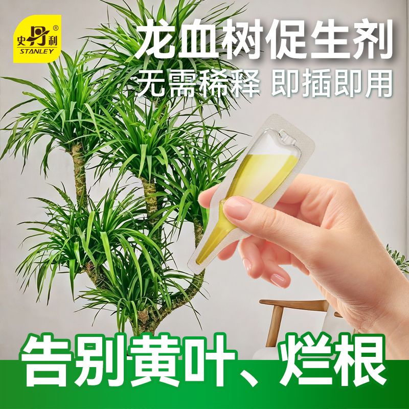 史丹利龙血树专用肥叶片浓绿