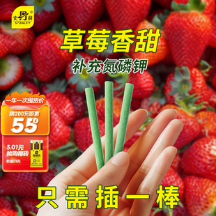 史丹利草莓专用植物营养缓释肥棒肥料家用盆栽通用型养花复合花卉