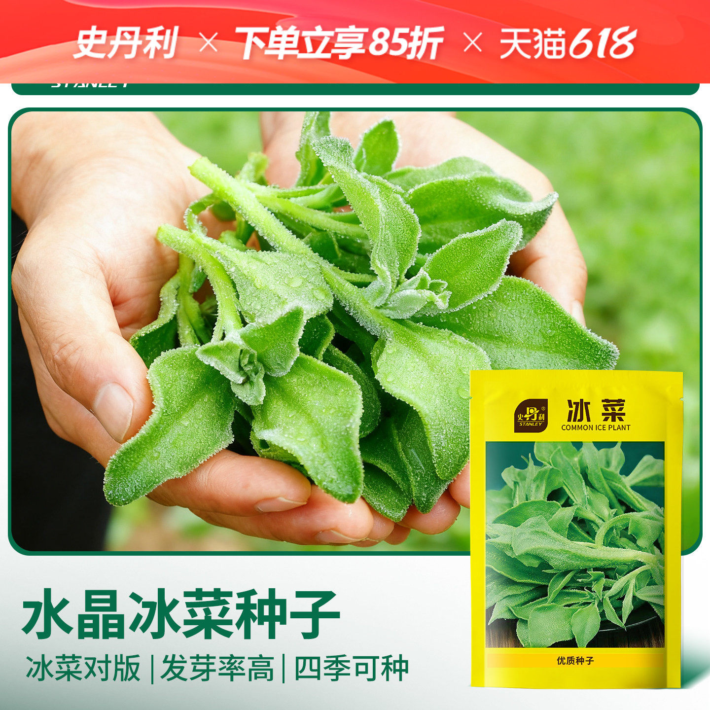 史丹利水晶冰菜种子籽阳台蔬菜种孑种植冰草蔬菜四季秧苗盆栽籽种