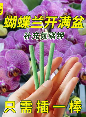 史丹利蝴蝶兰肥料兰花专用肥兰科控释肥君子兰墨兰促缓释肥营养棒