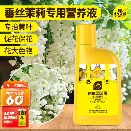 垂丝茉莉专用营养液花开满屏