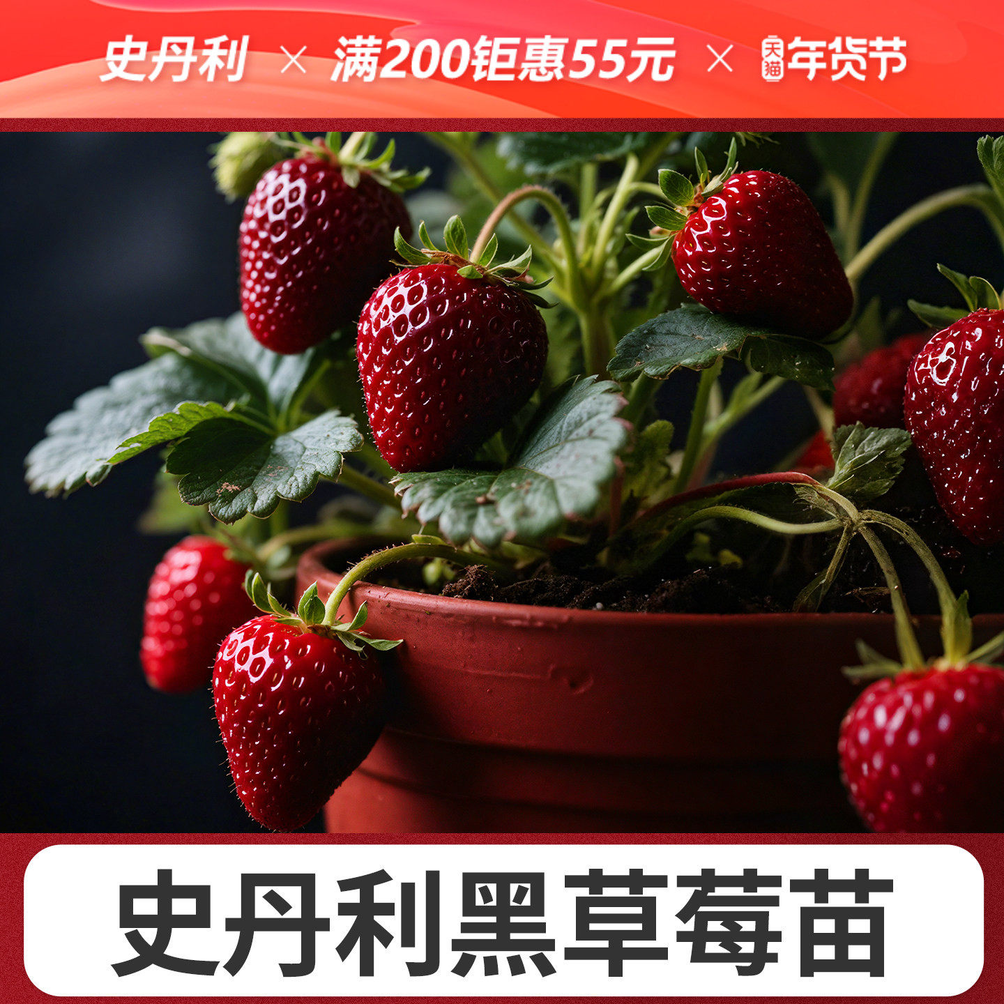 史丹利真红美铃黑草莓苗黑珍珠玄玉盆栽四季结果美玲阳台种植稀有,鲜花速递/花卉仿真/绿植园艺,种苗/半成品盆栽,淘宝优惠券,粉丝福利购,淘宝优惠卷