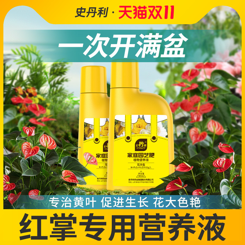 红掌专用肥料拯救黄叶