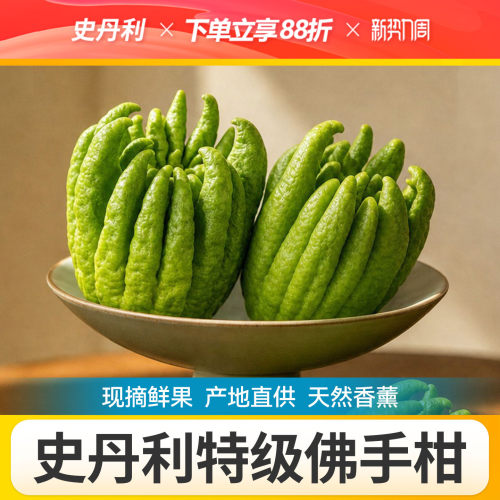 史丹利佛手柑绿植盆栽桌面鲜果室内香薰摆件新鲜闻香车载天然大果