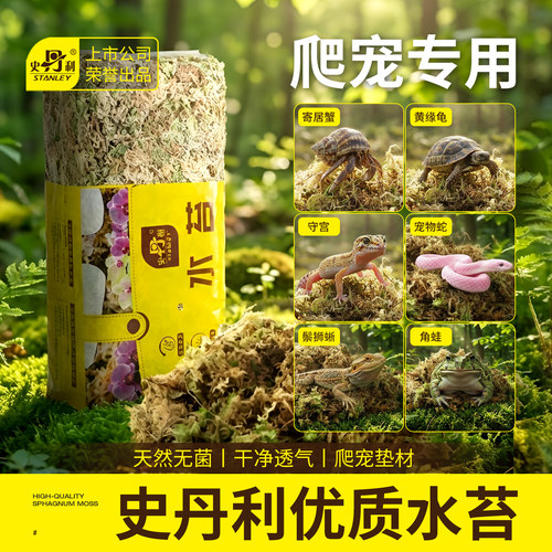 史丹利爬宠乌龟冬眠专用苔藓