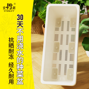 史丹利懒人专用阳台种菜盆长方形种菜盆家用长条草莓盆自吸水种花