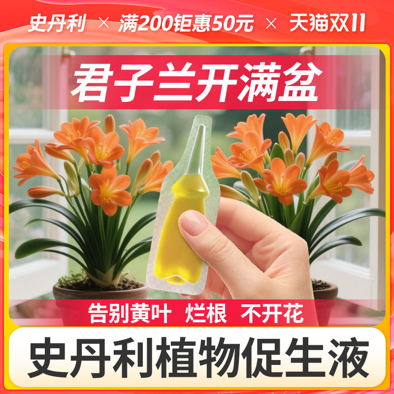 即插即用肥效持久花开满盆