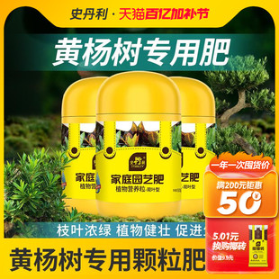 史丹利黄杨树专用肥盆栽种植小叶黄杨盆景雀舌黄杨叶面有机复合肥