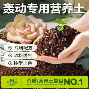 史丹利轰动多肉土专用颗粒土营养土种植土泥炭土盆栽叶插营养土壤