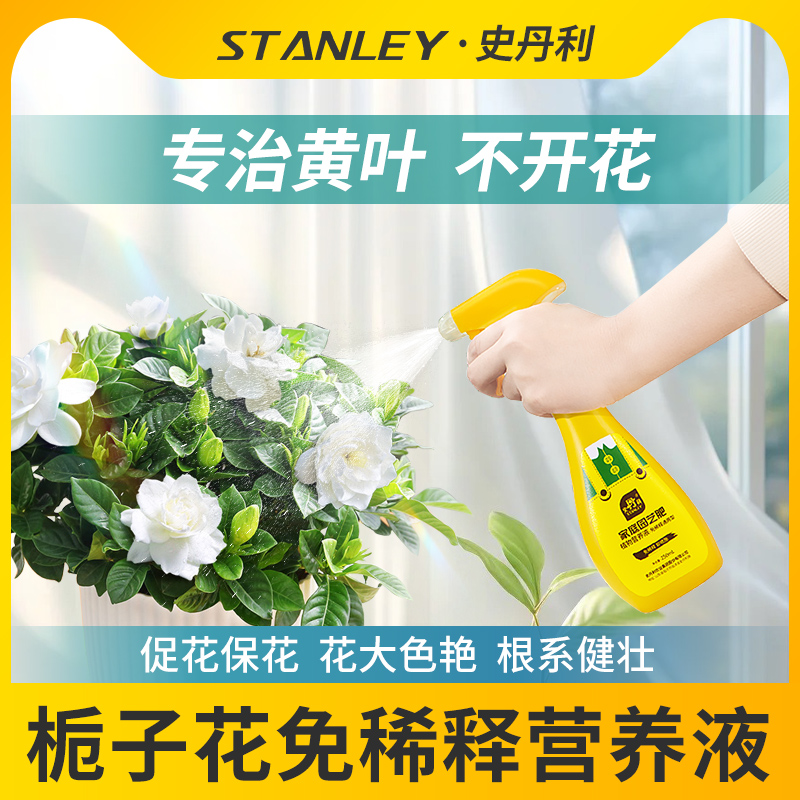 栀子花营养液花开满盆