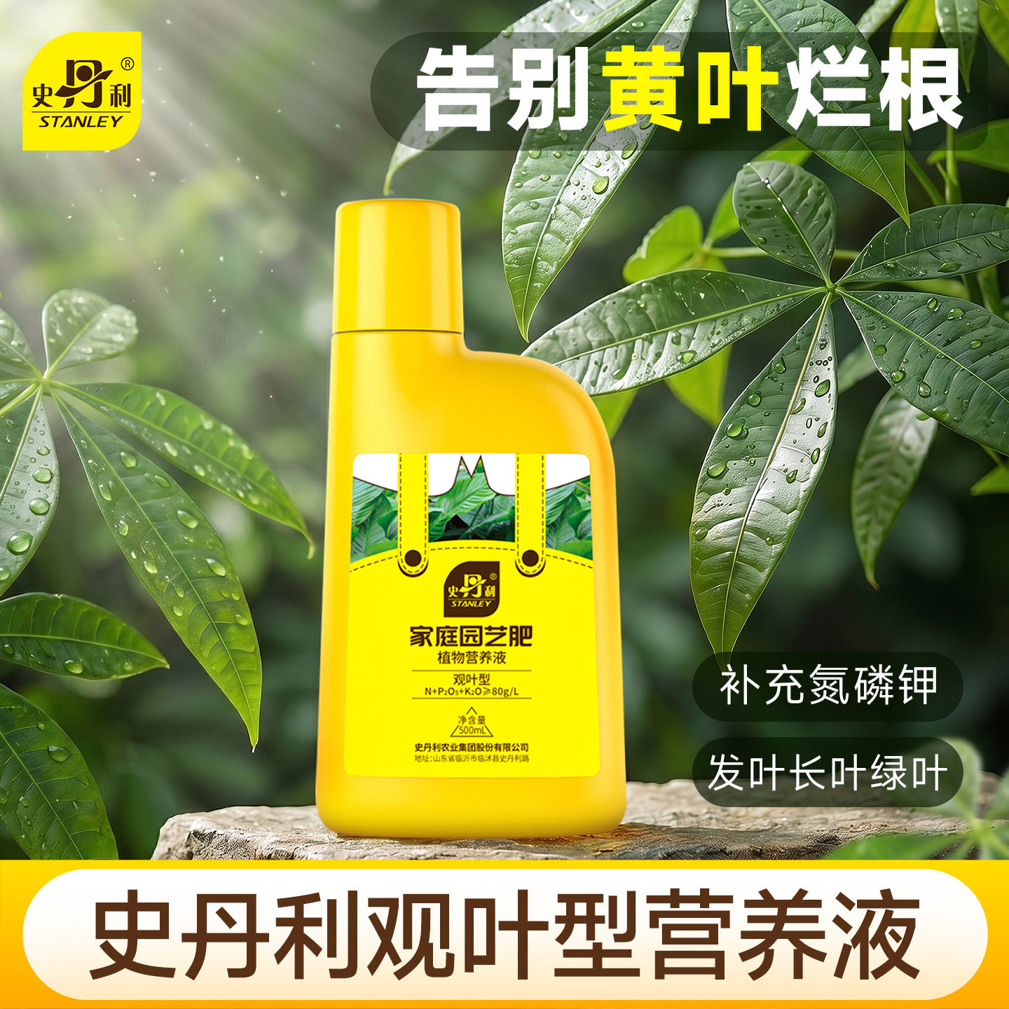 史丹利观叶植物浓缩营养液绿植专用肥料发财树黄叶烂根盆栽通用型