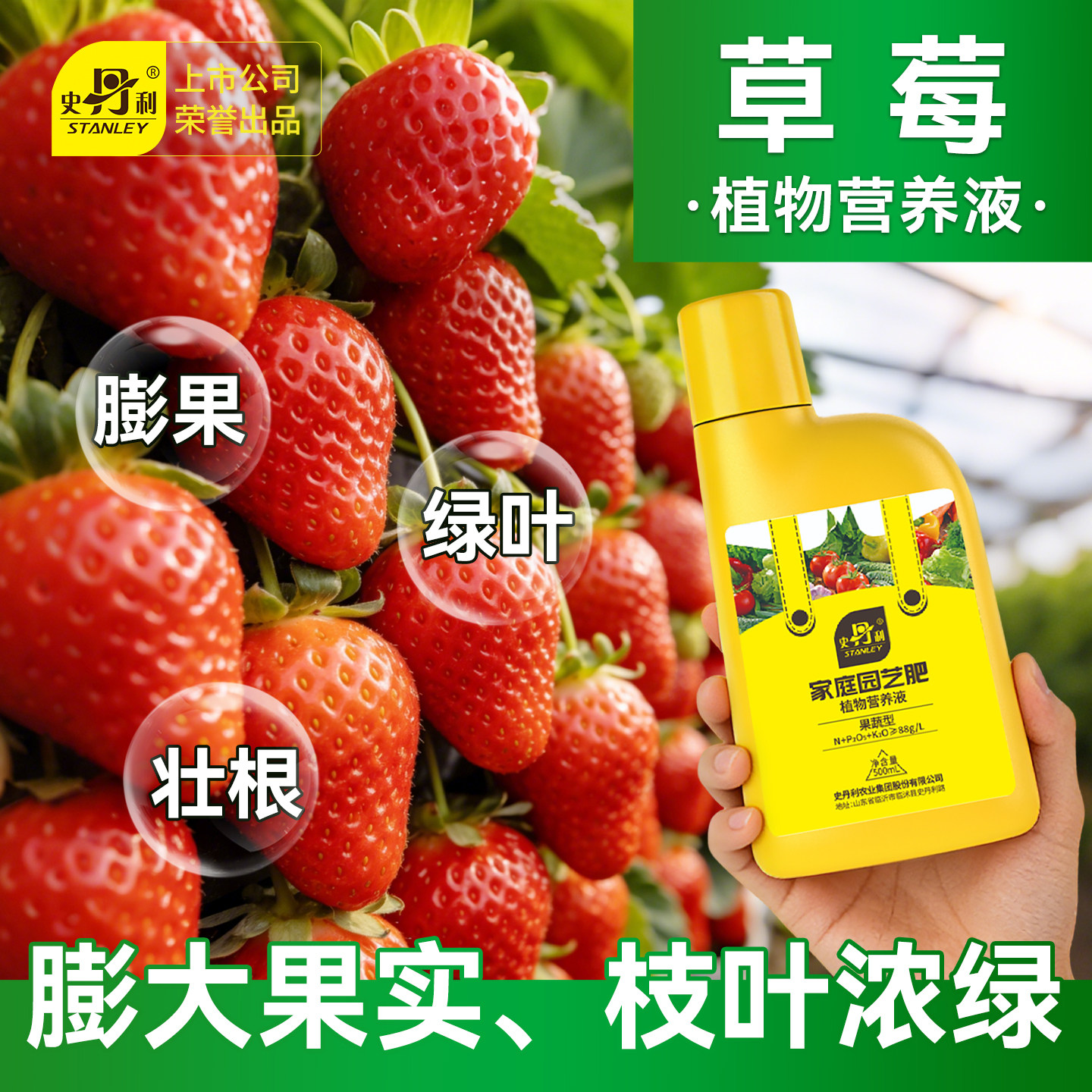 史丹利草莓营养液专用肥家用盆栽种植促花促果水溶肥叶面有机复合,鲜花速递/花卉仿真/绿植园艺,家庭园艺肥料,淘宝优惠券,粉丝福利购,淘宝优惠卷