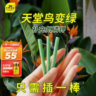 史丹利天堂鸟专用植物营养棒花肥缓释肥家用通用型肥料花卉绿植用