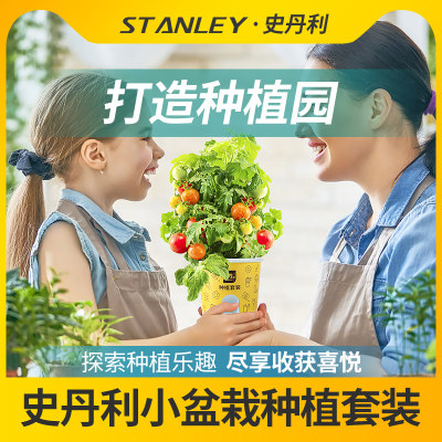 史丹利种植小盆栽儿童植物观察