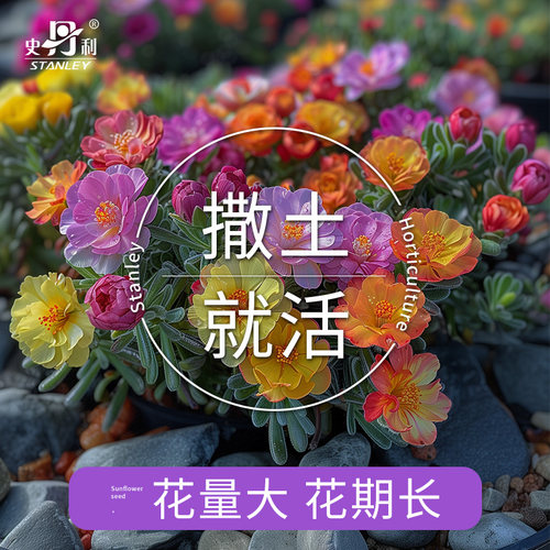 上市公司  优选良种  品质保证