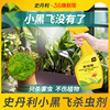 史丹利小黑飞专用药呋虫胺多肉月季花土壤花卉植物专杀花盆杀虫剂