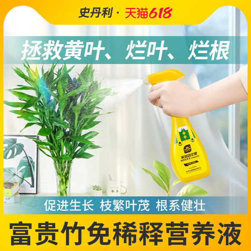 富贵竹专用肥枝繁叶茂
