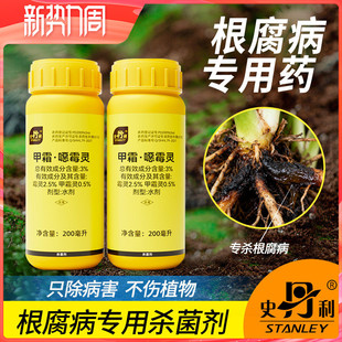 史丹利根腐病专用药甲霜恶霉灵月季 花多肉黑腐专用土壤杀菌剂花药