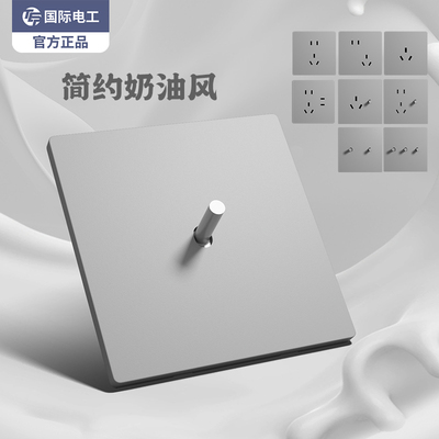 TEP86型灰色简约拨杆开关面板家装酒店民宿插座双开三开单开双控