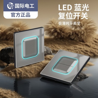 TEP国际电工灰色超薄钢化玻璃开关插座面板家用墙壁单联一灯双控