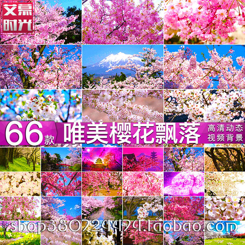 唯美樱花飘落 高端婚礼粉色花海花瓣 实拍 LED大屏幕视频背景