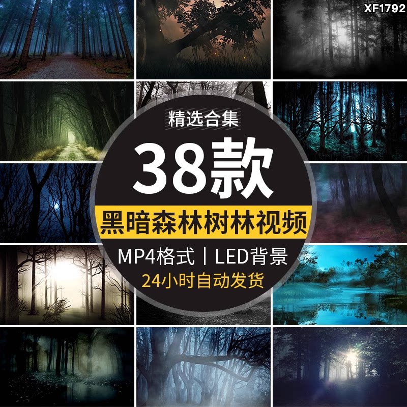 黑暗森林迷雾阴森幽静树林万圣节晚会大屏幕LED背景视频素材