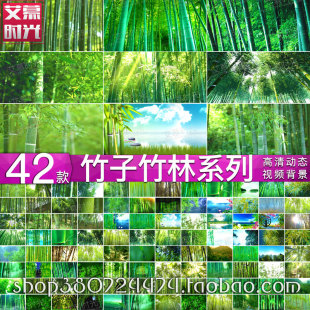 竹子竹林苗族傣族民歌少数民族晚会舞蹈演出 LED大屏背景视频
