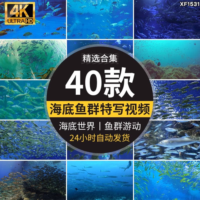 海底世界美景鱼群成群游动观赏鱼海洋馆特写实拍抖音剪辑视频素材