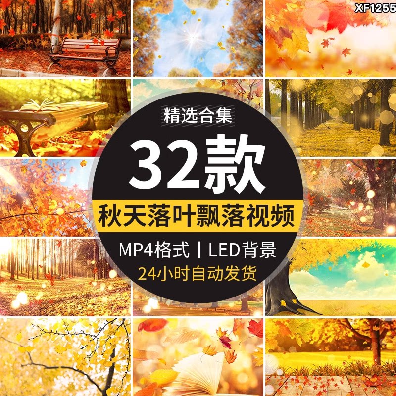枫叶银杏树叶飘落叶红叶金秋婚礼晚会舞台led大屏幕背景视频素材
