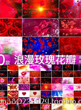 唯美浪漫红色玫瑰花瓣飘落 高端婚礼舞台led大屏幕背景vj视频