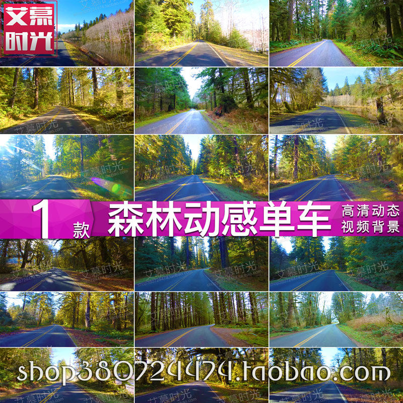 动感单车 森林山路实景 骑行风景 健身房跑步机片源 背景视频