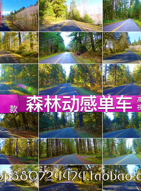 动感单车 森林山路实景 骑行风景 健身房跑步机片源 背景视频