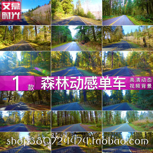 动感单车 森林山路实景 骑行风景 健身房跑步机片源 背景视频