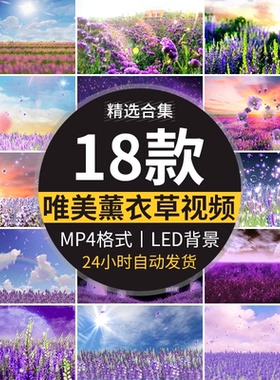 唯美紫色薰衣草梦幻浪漫花海婚礼晚会舞台LED大屏幕背景视频素材