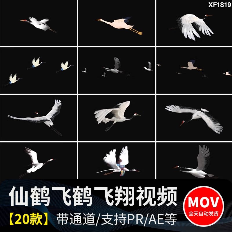 白色仙鹤飞鹤群鹤飞翔带alpha透明通道ae/pr后期合成视频素材