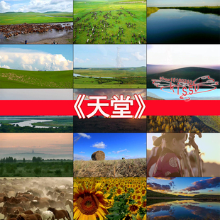 新款天堂腾格尔歌曲配乐蒙古藏族风景马头琴草原牧民骏马视频素材