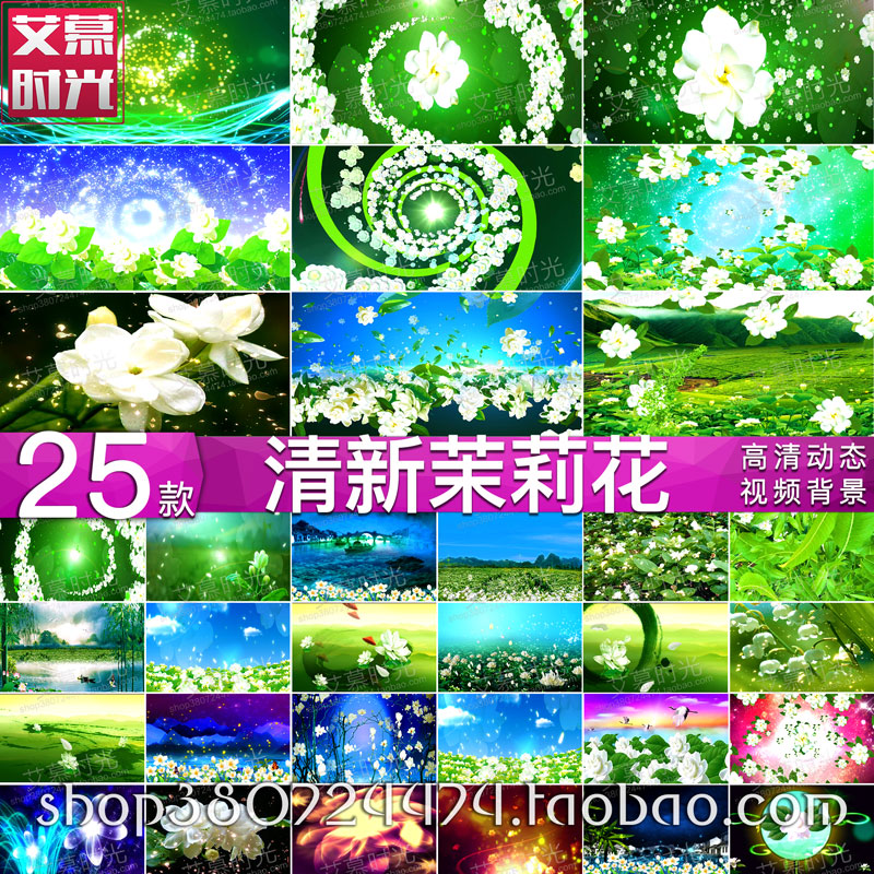 AM163茉莉花 清新花海民歌舞蹈 山茶花飘落LED大屏幕晚会背景视频