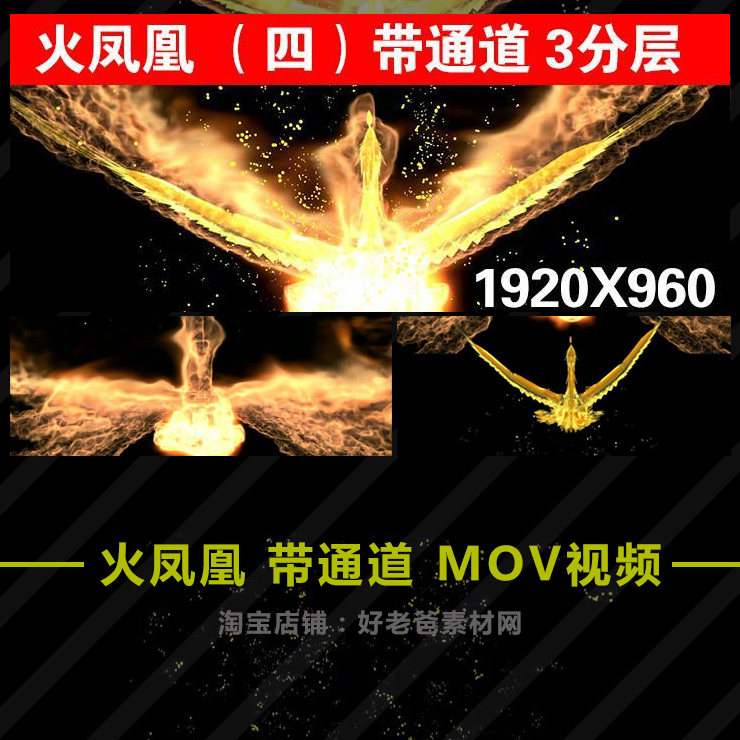 高清火凤凰带通道三分层 MOV视频素材