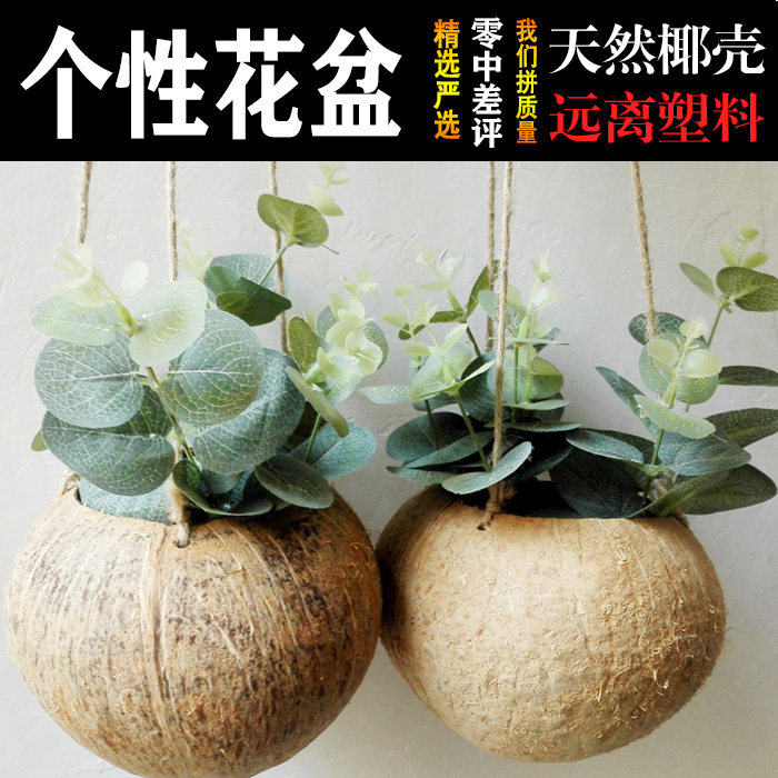 海南天然椰壳吊盆悬挂式椰子壳花盆绿萝个性可爱装饰复古特色民宿