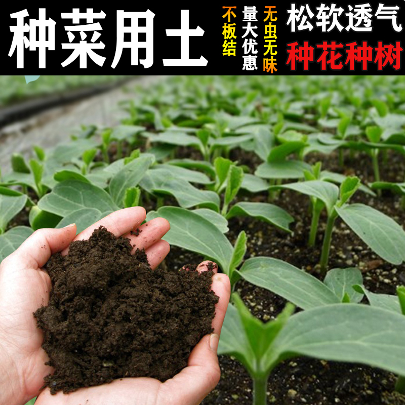 种菜专用土营养有机庭院100斤