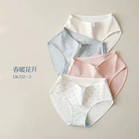 DK722-Combination 3 (бактерия бактерия)