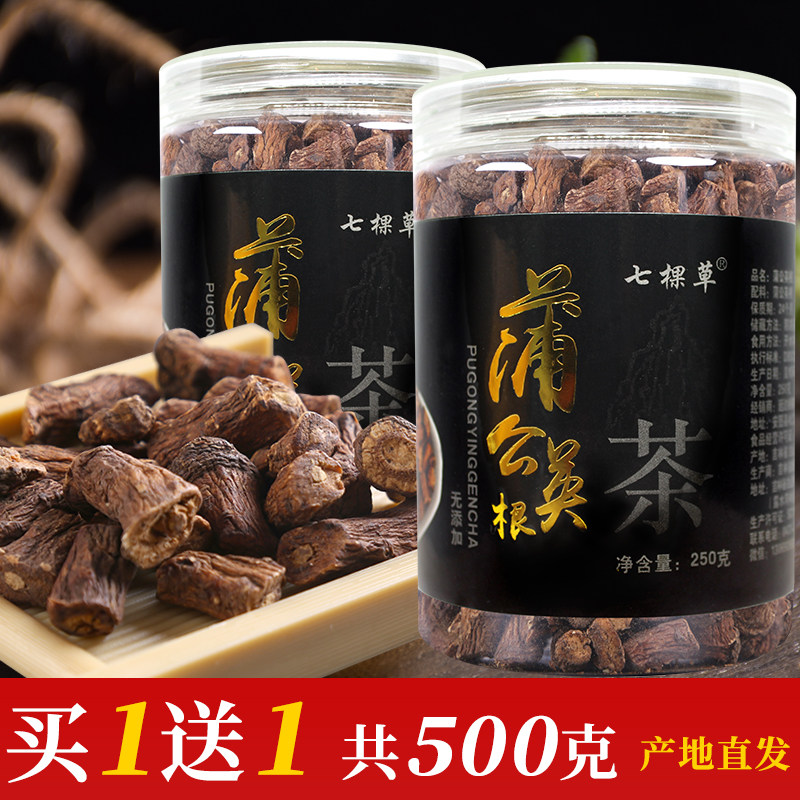 野生天然蒲公英根茶长白山婆婆丁图片