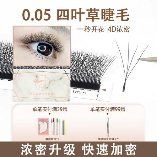 睫毛四叶草嫁接细软不散根