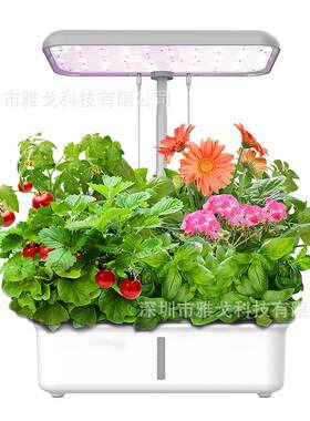 外贸涂鸦WiFi智能植物水培机全普光LED植物生长灯室内种植水培